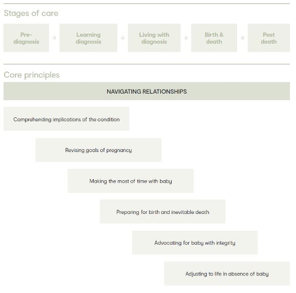 Care Planning Stillbirth Cre Elearning